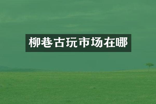 柳巷古玩市场在哪