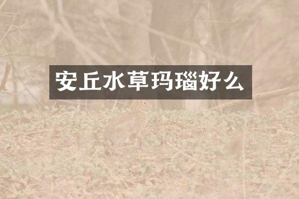 安丘水草玛瑙好么