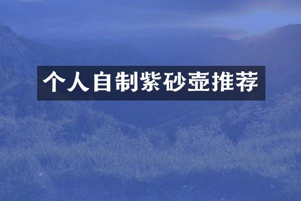 个人自制紫砂壶推荐