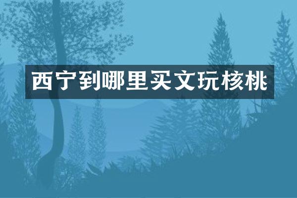 西宁到哪里买文玩核桃
