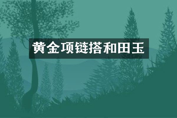 黄金项链搭和田玉