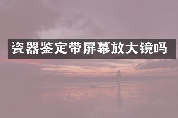 瓷器鉴定带屏幕放大镜吗