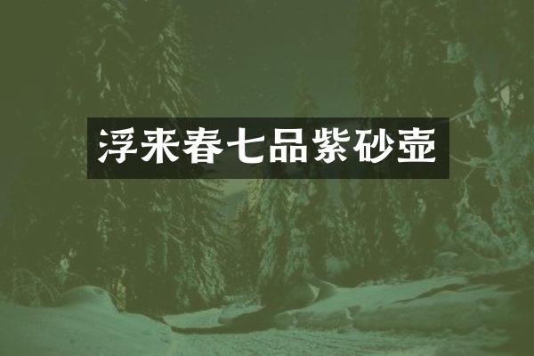 浮来春七品紫砂壶