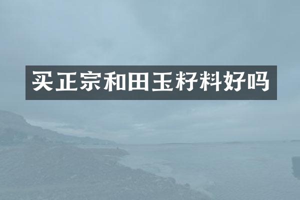 买正宗和田玉籽料好吗