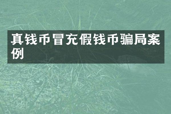 真钱币冒充币骗局案例