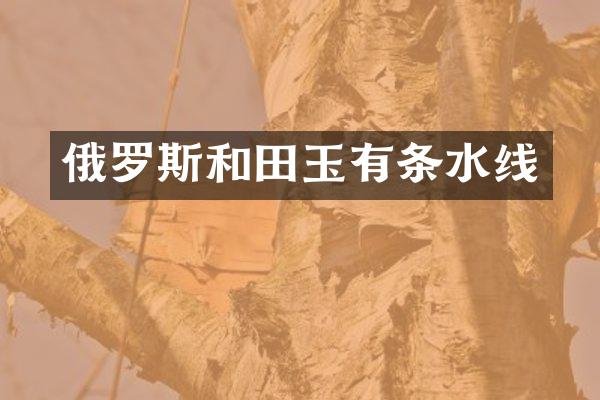 俄罗斯和田玉有条水线