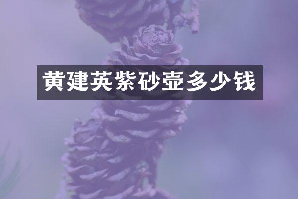 黄建英紫砂壶多少钱
