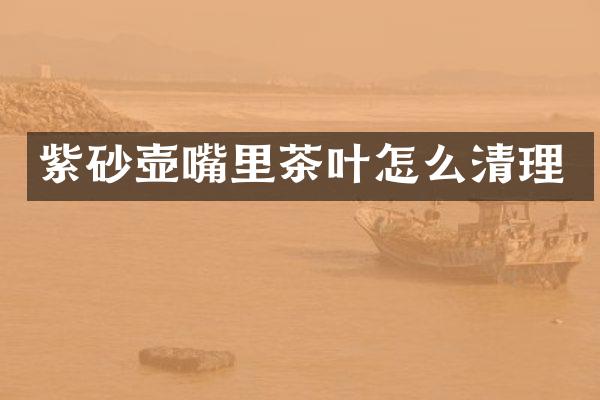 紫砂壶嘴里茶叶怎么清理
