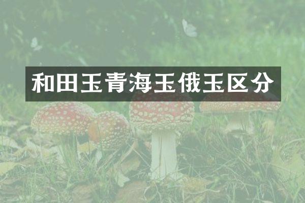 和田玉青海玉俄玉区分