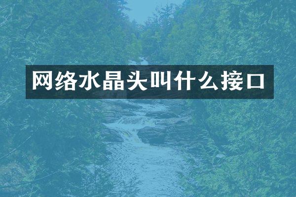 网络水晶头叫什么接口