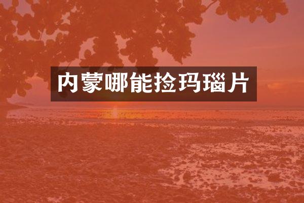 内蒙哪能捡玛瑙片