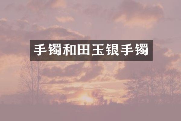 手镯和田玉银手镯