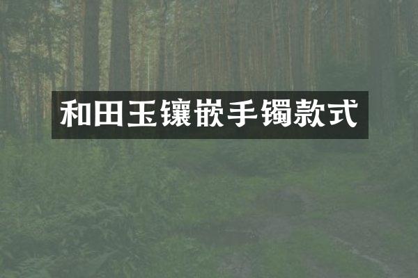 和田玉镶嵌手镯款式