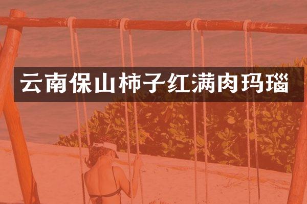 云南保山柿子红满肉玛瑙