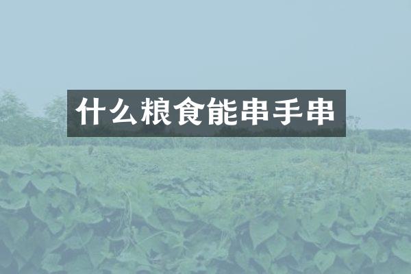 什么粮食能串手串