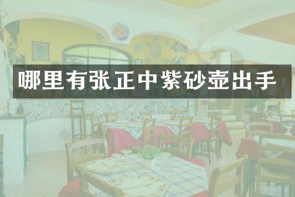 哪里有张正中紫砂壶出手