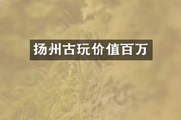 扬州古玩价值百万