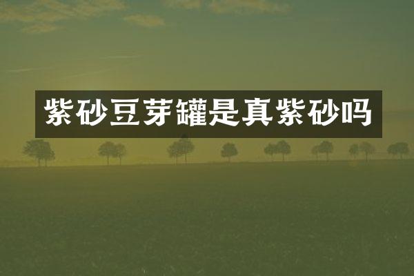 紫砂豆芽罐是真紫砂吗