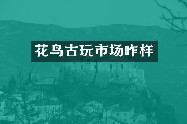花鸟古玩市场咋样