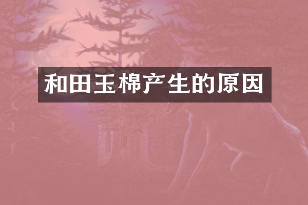 和田玉棉产生的原因