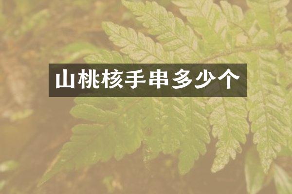 山桃核手串多少个