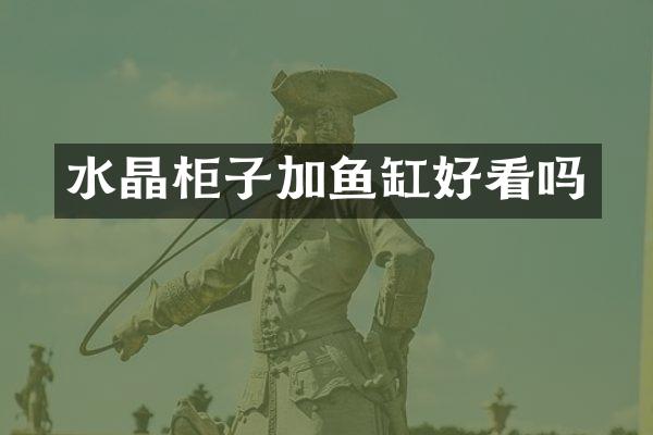 水晶柜子加鱼缸好看吗