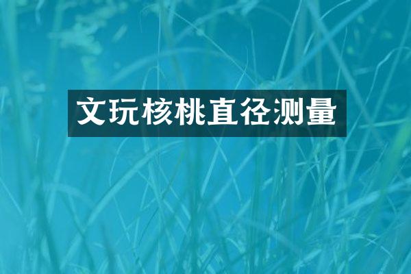 文玩核桃直径测量