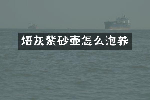 焐灰紫砂壶怎么泡养