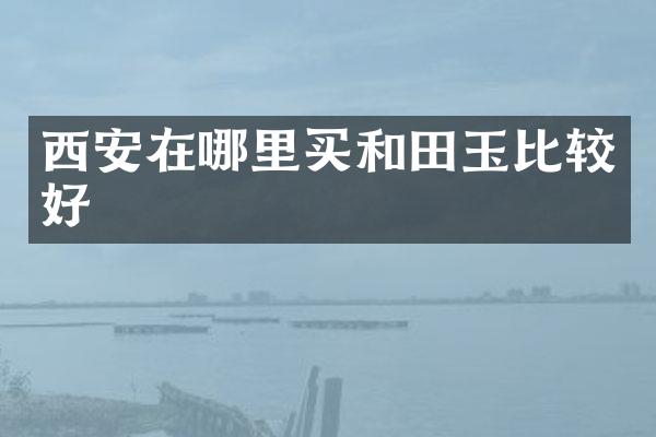 西安在哪里买和田玉比较好