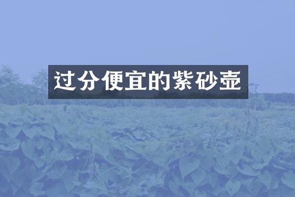 过分便宜的紫砂壶