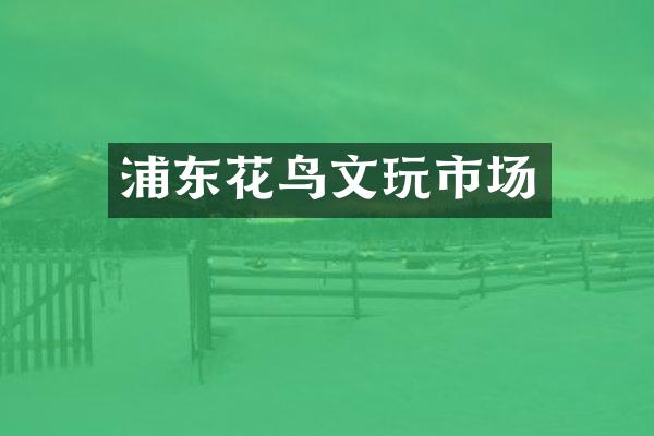 浦东花鸟文玩市场