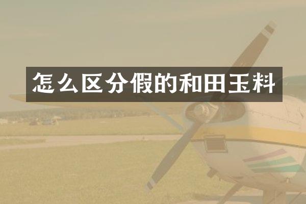 怎么区分假的和田玉料