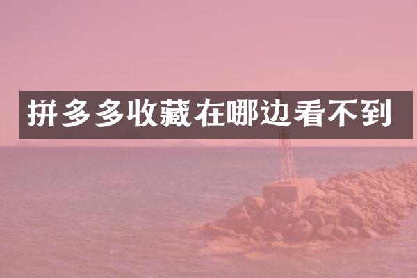 拼多多收藏在哪边看不到