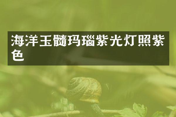 海洋玉髓玛瑙紫光灯照紫色