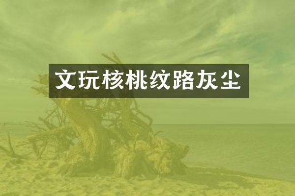 文玩核桃纹路灰尘