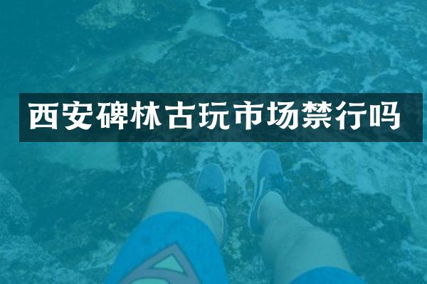 西安碑林古玩市场禁行吗