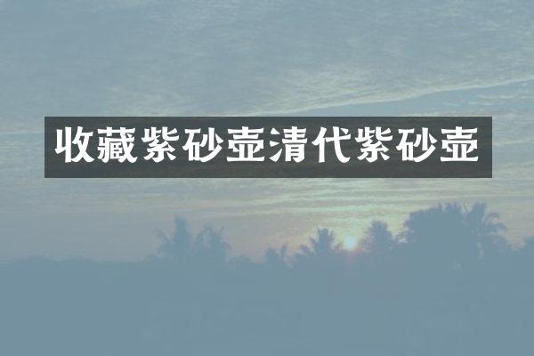 收藏紫砂壶清代紫砂壶