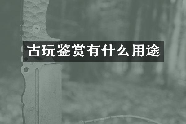 古玩鉴赏有什么用途