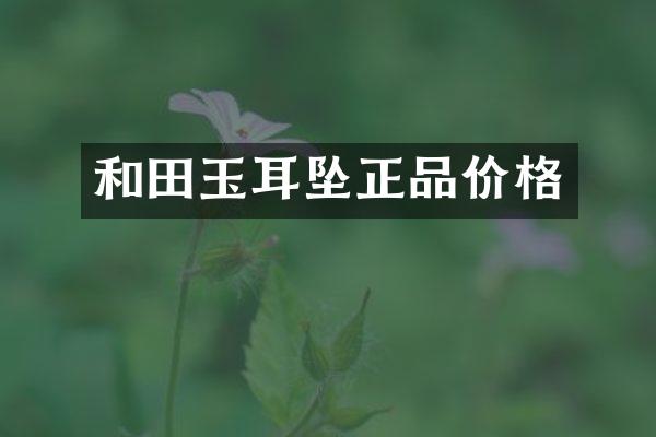 和田玉耳坠正品价格