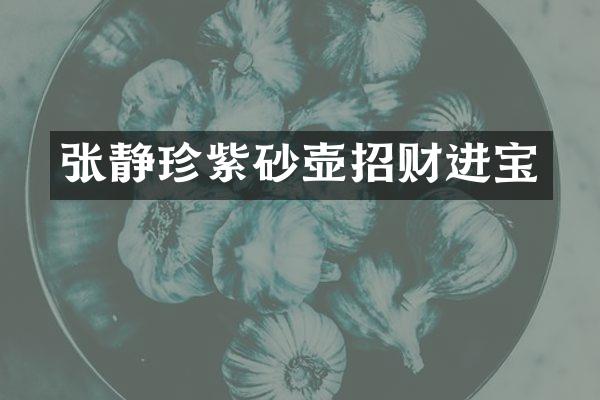 张静珍紫砂壶招财进宝