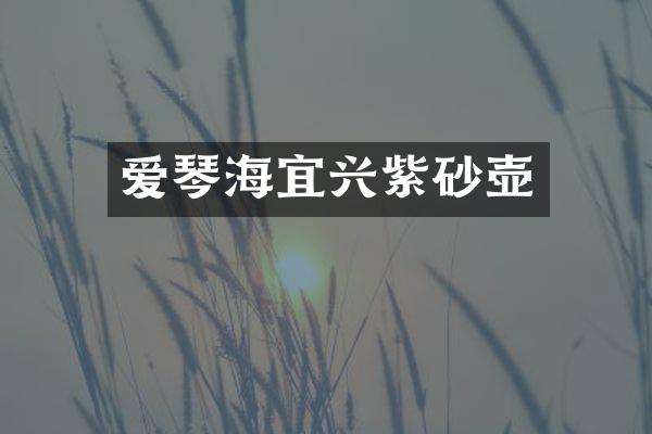 爱琴海宜兴紫砂壶