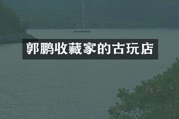 郭鹏收藏家的古玩店