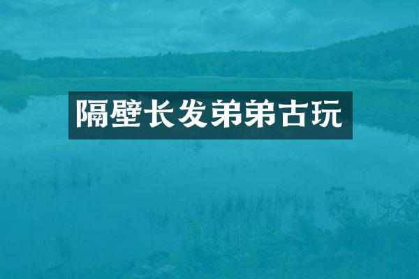 隔壁长发弟弟古玩