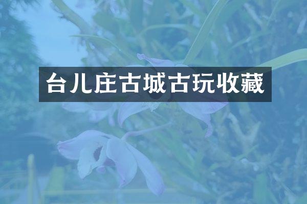 台儿庄古城古玩收藏