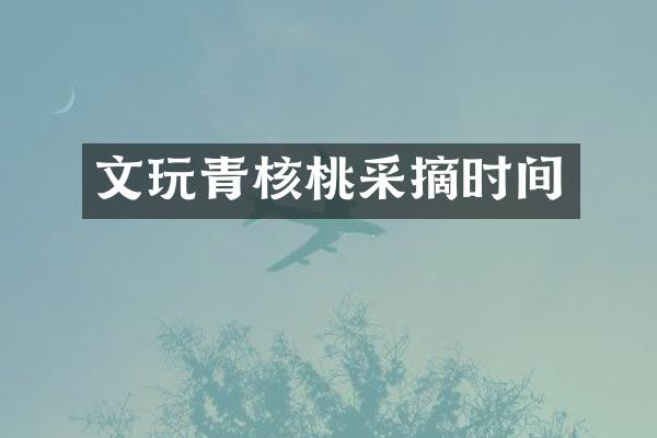 文玩青核桃采摘时间