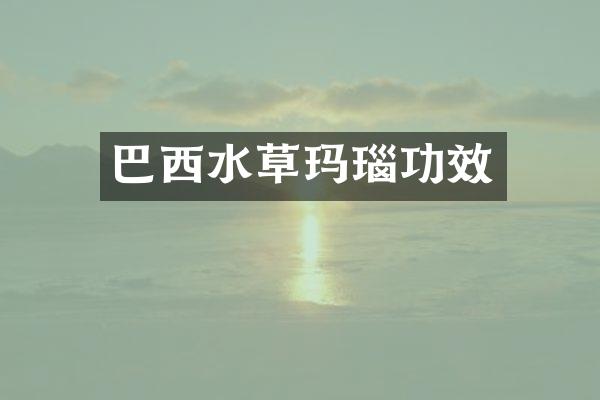 巴西水草玛瑙功效