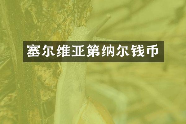 塞尔维亚第纳尔钱币