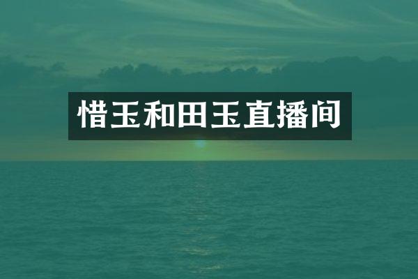 惜玉和田玉直播间
