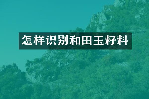 怎样识别和田玉籽料