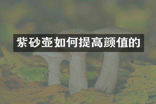 紫砂壶如何提高颜值的